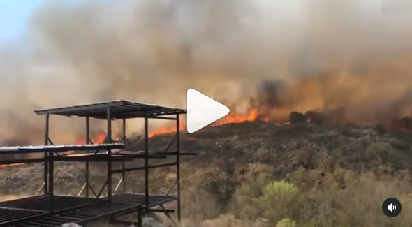 Video dramático: una familia abandona su casa en medio de las llamas en Córdoba | Actualidad