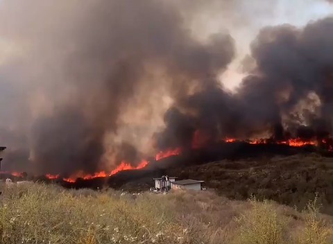 Dramático relato de una joven por los incendios en Córdoba: "En minutos el fuego llegó a mi casa" | Actualidad