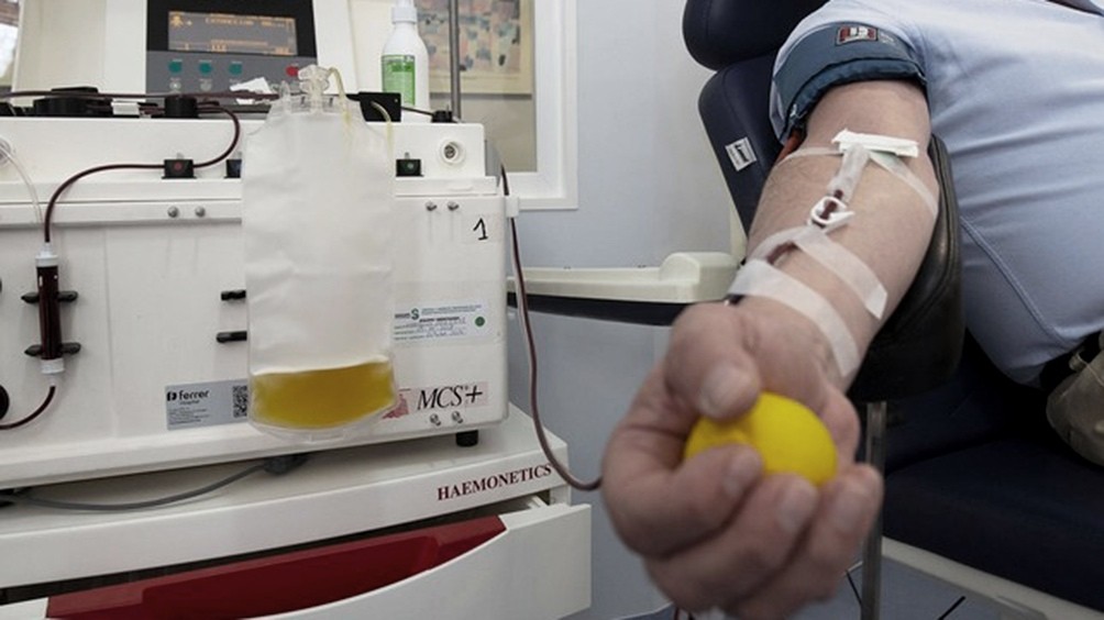 Coronavirus: estudio argentino pone en duda la eficacia del plasma en casos graves | Actualidad