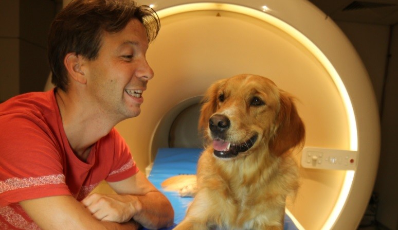 Estudio científico: las caras son más importantes para los humanos que para los perros | Curiosidades