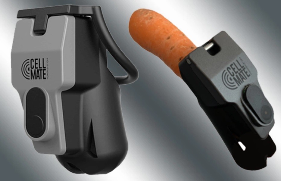 Advierten riesgo de hackeo a dispositivo "inteligente" de castidad masculina | Curiosidades