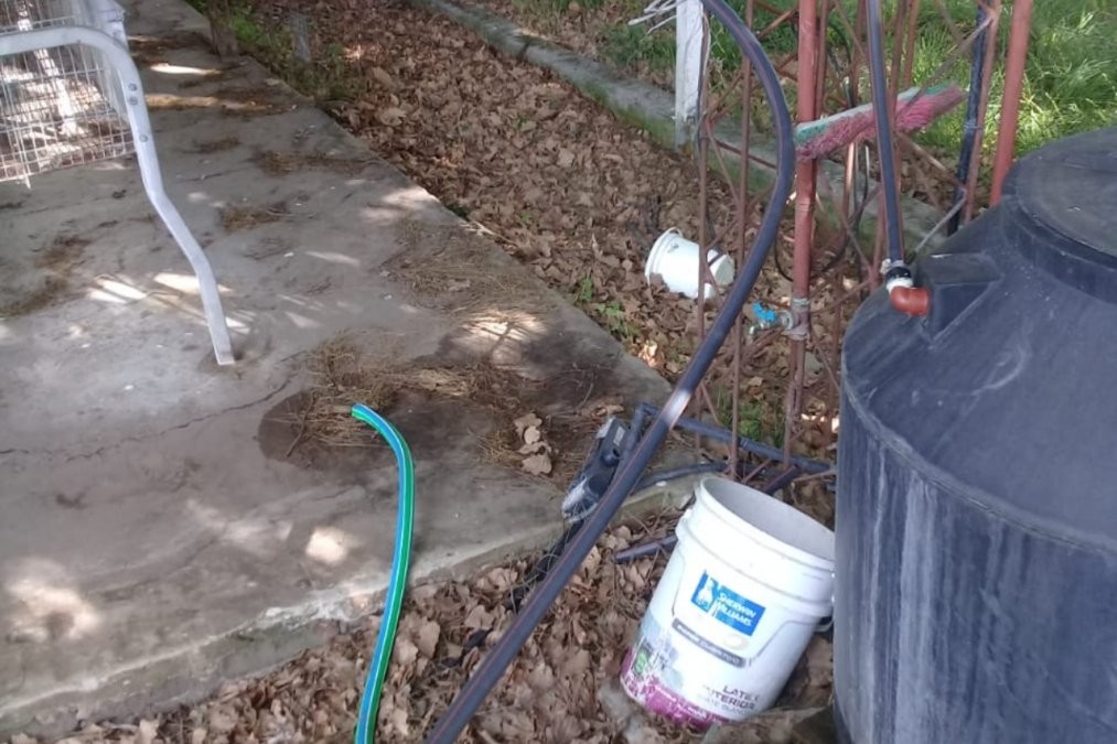 Robo en una escuela agropecuaria: se llevaron el tambo y hasta los caños de agua | Actualidad