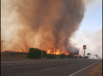 VIDEO: el momento en que el fuego y rodearon a una estación de servicio en Córdoba | Actualidad