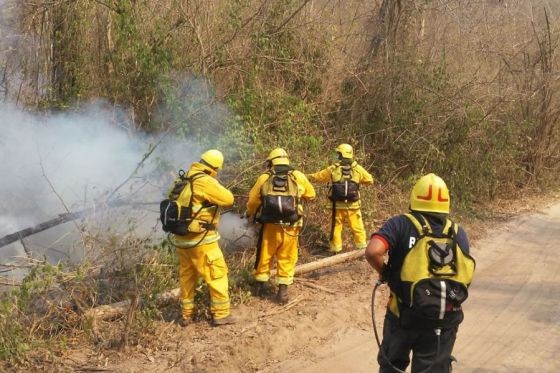 Salta: buscan sofocar más de 40 focos de incendios forestales | Actualidad