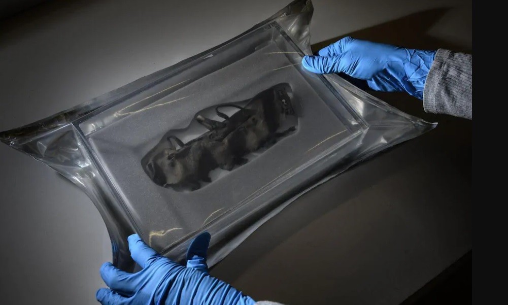 Deshielo en los Alpes deja al descubierto tesoros ocultos durante milenios | Internacionales