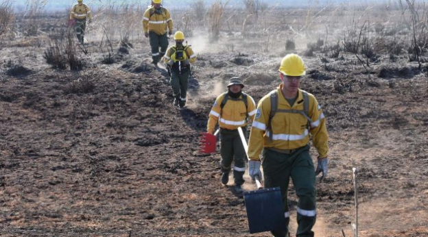 Diputados debate un proyecto para prohibir la venta de los predios forestales incendiados | Política