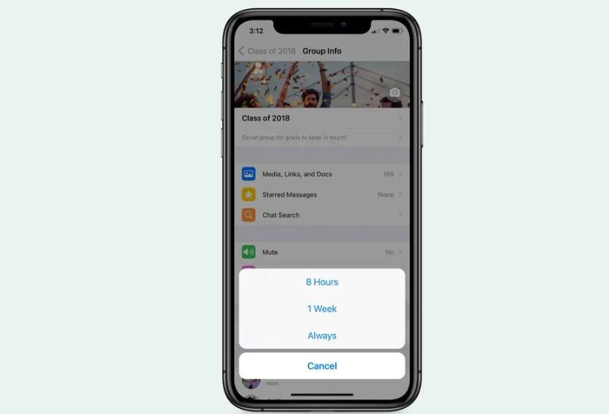 WhatsApp ya permite silenciar los grupos y chats para siempre: así se hace | Tecno