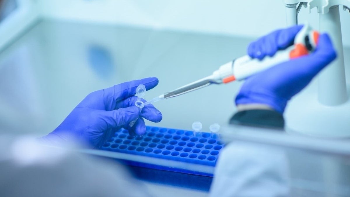 Realizaron tests para saber si las mascotas se contagian con Covid | Actualidad