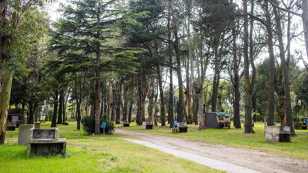 Kicillof dijo que mientras "haya protocolos" se pueden "buscar alternativas" para abrir campings | Vacaciones | Verano 2021