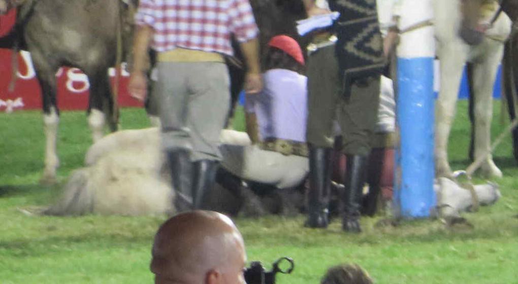 Sacrificaron un caballo que participaba del Festival de Jesús María | Actualidad