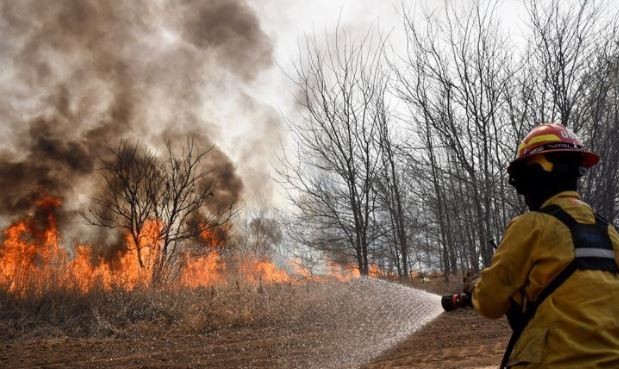 Volvió el fuego a Córdoba: registran dos nuevos focos de incendios | Clima, naturaleza y medio ambiente