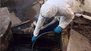 Comprueban la utilidad epidemiológica de medir coronavirus en aguas residuales de barrios populares | Actualidad