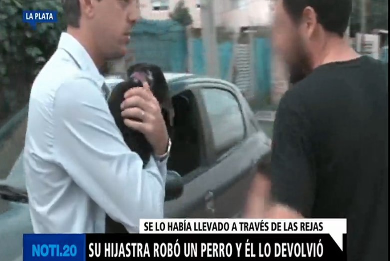 Crueldad animal: quemaron con aceite y agua hirviendo a un perro en Mendoza | Actualidad
