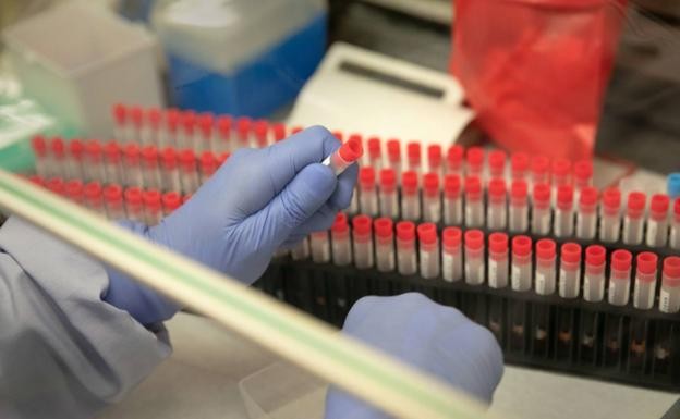 La OMS reiteró que la pandemia está lejos de terminar | Internacionales