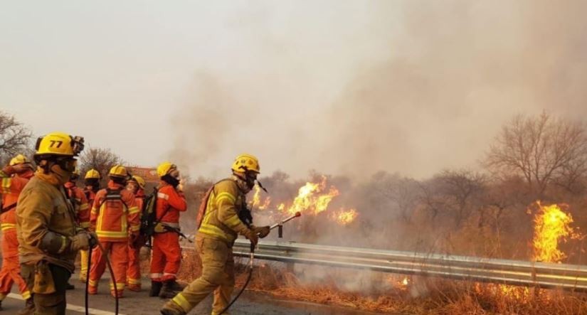 Bomberos combaten un incendio forestal en el oeste de Córdoba | Clima, naturaleza y medio ambiente