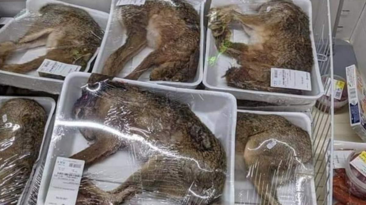 Bronca en las redes por un supermercado que vendía animales enteros en bandejas | Internacionales