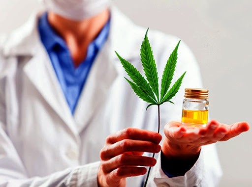 Dictamen favorable en la Legislatura porteña para la regulación del cannabis medicinal | Actualidad