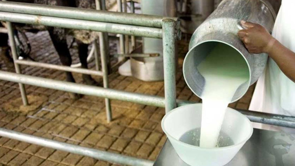 Condenan a una pareja por esclavizar a un joven en un tambo durante 4 años: detalles escalofriantes | Actualidad