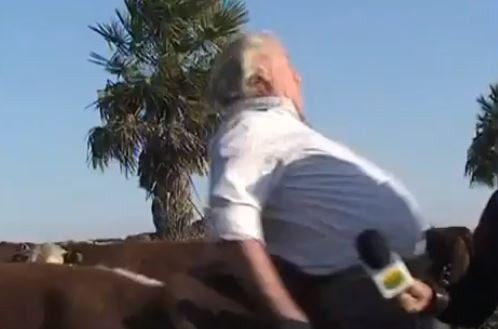 Video: Veterinario fue embestido por un animal en plena entrevista | Actualidad