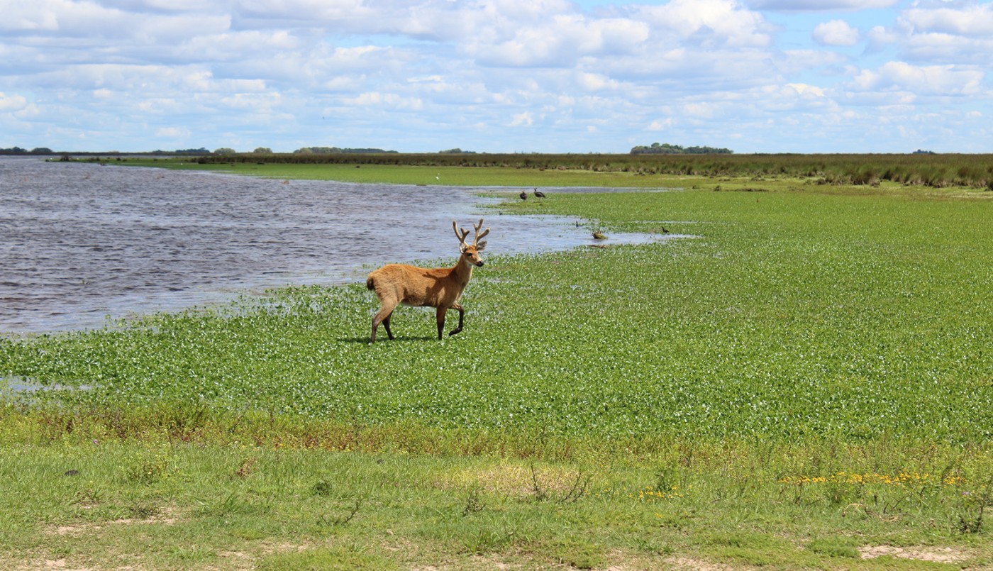Escapadas: dos parques nacionales en territorio bonaerense | Vacaciones | Verano 2021