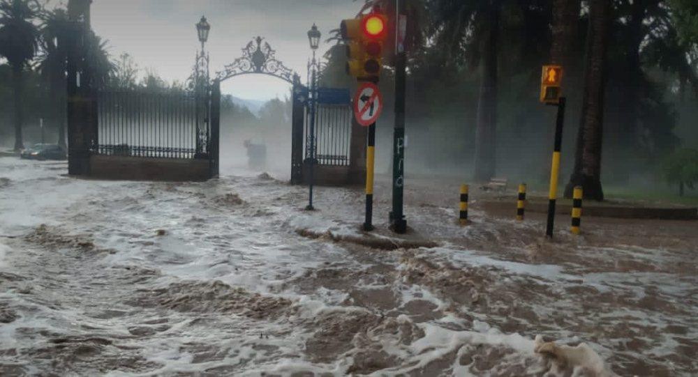 Temporal en Mendoza: Un adolescente murió y hubo anegamientos, caída de techos y árboles | Clima, naturaleza y medio ambiente
