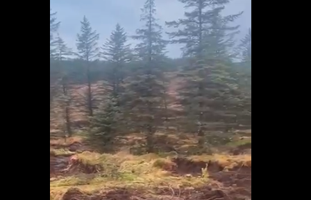 Video aterrador: el misterioso paisaje movedizo de Irlanda | Curiosidades