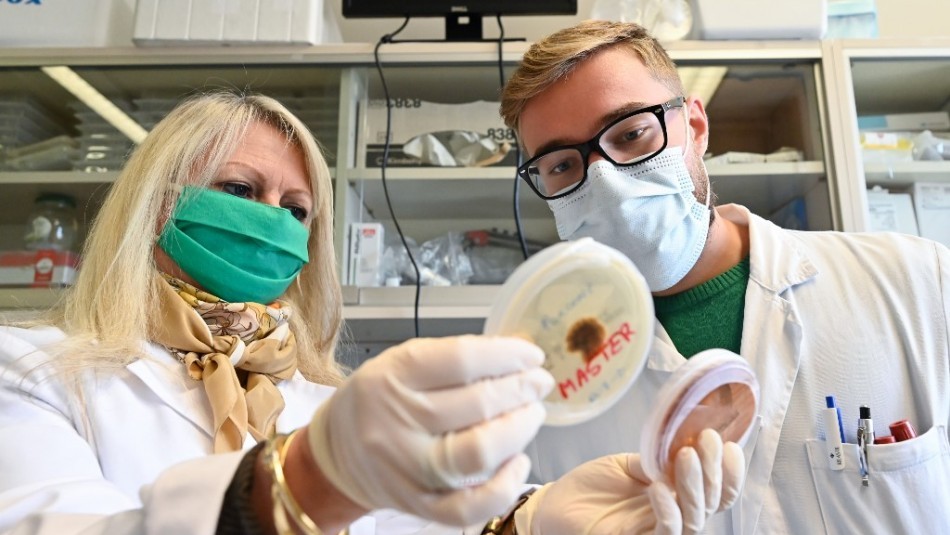 Confirman la transmisión entre humanos del virus del Chapare: similar al ébola | Internacionales