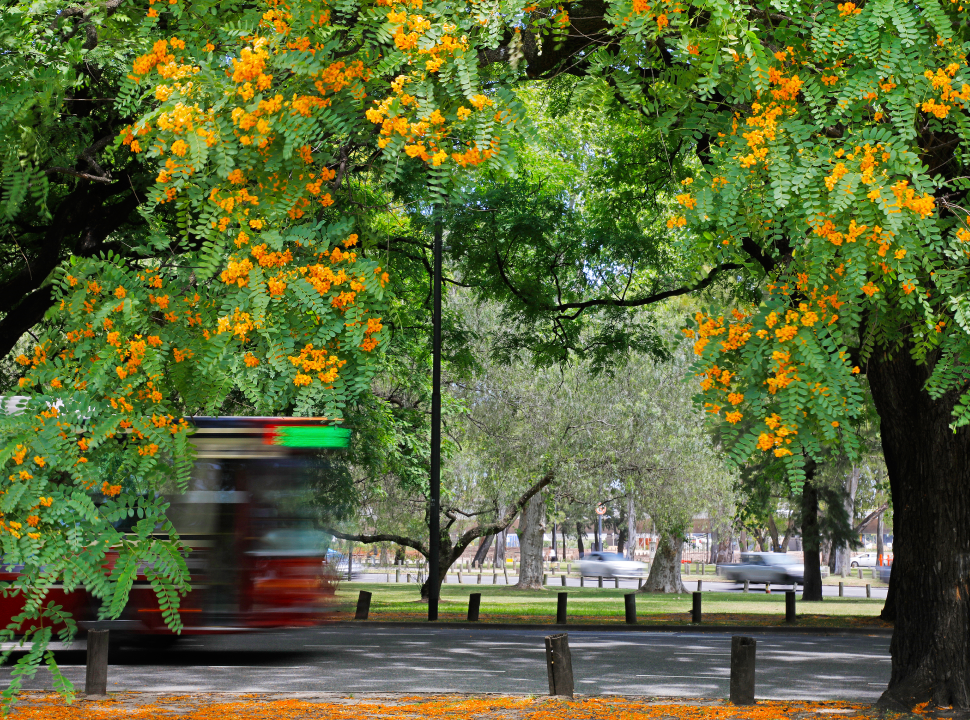 ¿Por qué lloran con "lágrimas dulces" las tipas de Buenos Aires? | Actualidad