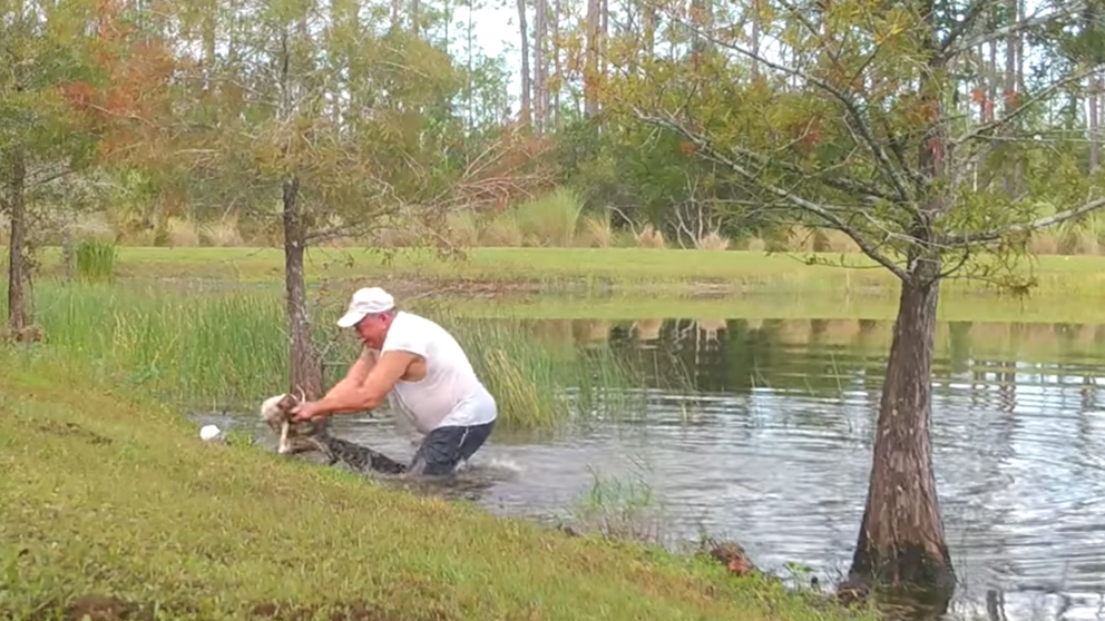 Video: el momento en que un hombre salva a su perro cachorro del ataque de un caimán | Internacionales
