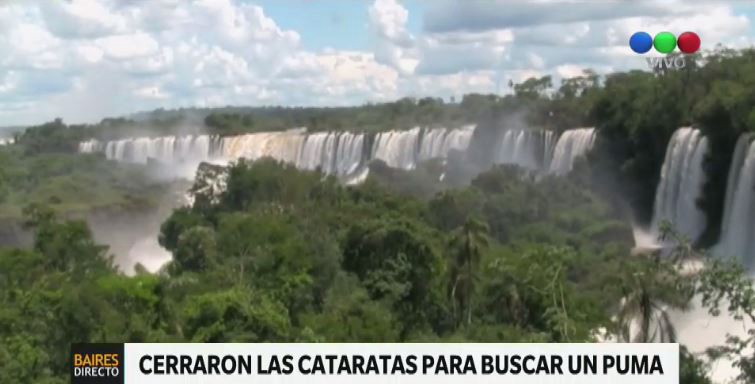 Cataratas cerradas: buscan a un puma que quiso atacar a un turista | Actualidad