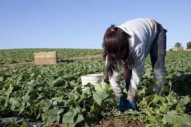 Las mujeres ganan en promedio por hora 14% menos que los hombres | Actualidad