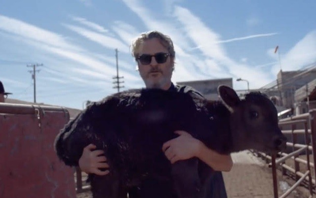 "Gunda": el nuevo documental de Joaquin Phoenix para convencer sobre el veganismo | Espectáculos