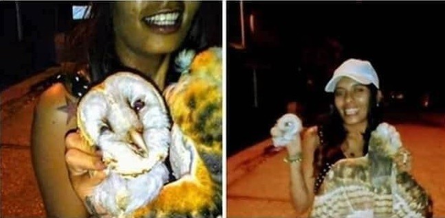 Tras grabarse decapitando una lechuza, sicarios la mataron en el frente de su casa | Internacionales