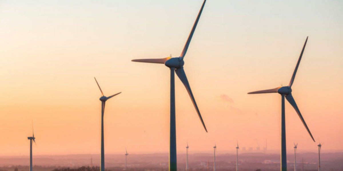 Un proyecto para generar energía eólica ganó el Premio Nacional a la innovación educativa | Actualidad