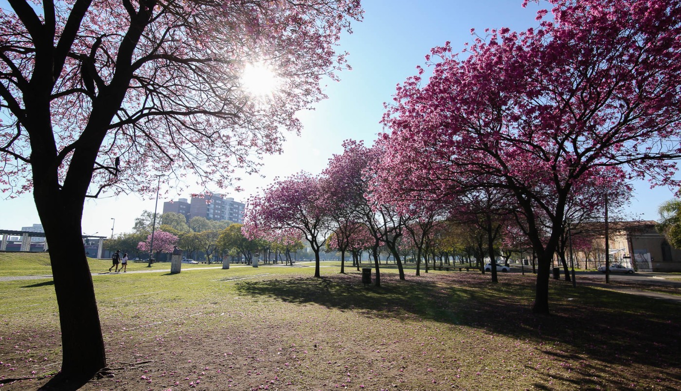 El verano arranca a pleno sol | Actualidad