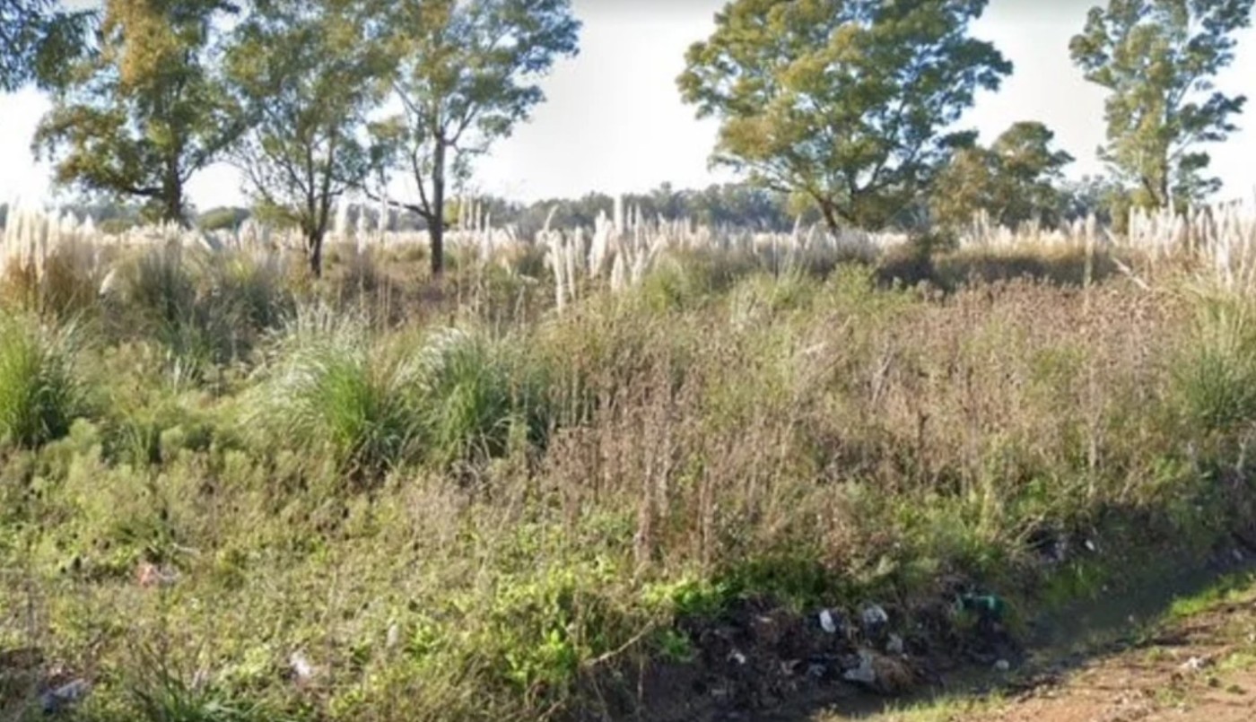 Encuentran el cadáver semidesnudo de una mujer a metros de la Autopista Ezeiza-Cañuelas | Actualidad