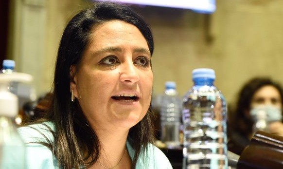 El exabrupto de una diputada del PRO: "Van a vacunar a todos sin saber qué mierda nos van a inocular" | Actualidad