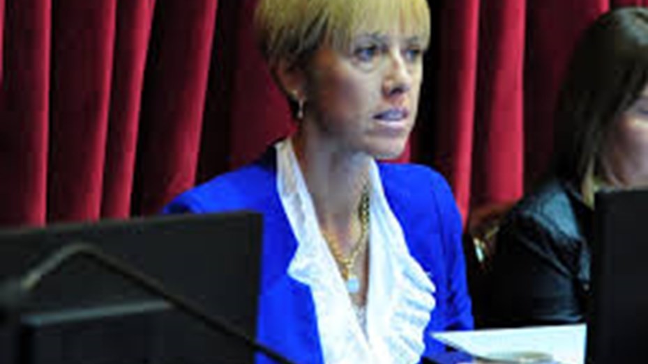 Aborto legal: Los senadores que cambiaron de postura entre el debate de 2018 y el de 2020 | Política