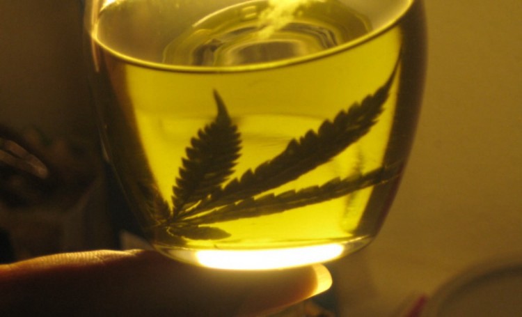Mendoza aprobó el uso medicinal del aceite de cannabis | Actualidad
