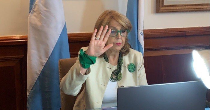 Aborto: "Muchos de los varones opinaron de manera vergonzosa", consideró la senadora Durango | Política