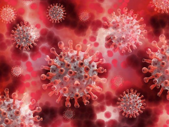 La variante del coronavirus detectada en Reino Unido ya está en 50 países, según la OMS | Internacionales