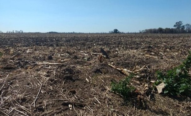 El 2020 fue el segundo año más cálido en Argentina desde que se tiene registro | Clima, naturaleza y medio ambiente