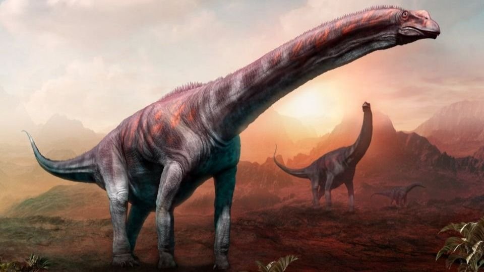 Descubrieron restos fósiles de una nueva especie de dinosaurio en Argentina que podría ser el más grande de la historia | Actualidad