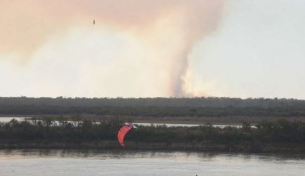 Se reiniciaron las quemas en el Delta del Paraná y no descartan "intencionalidad política o maldad" | Clima, naturaleza y medio ambiente