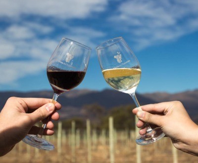 Especialista de vino por un día: turismo en Tafí del Valle | Vacaciones | Verano 2021