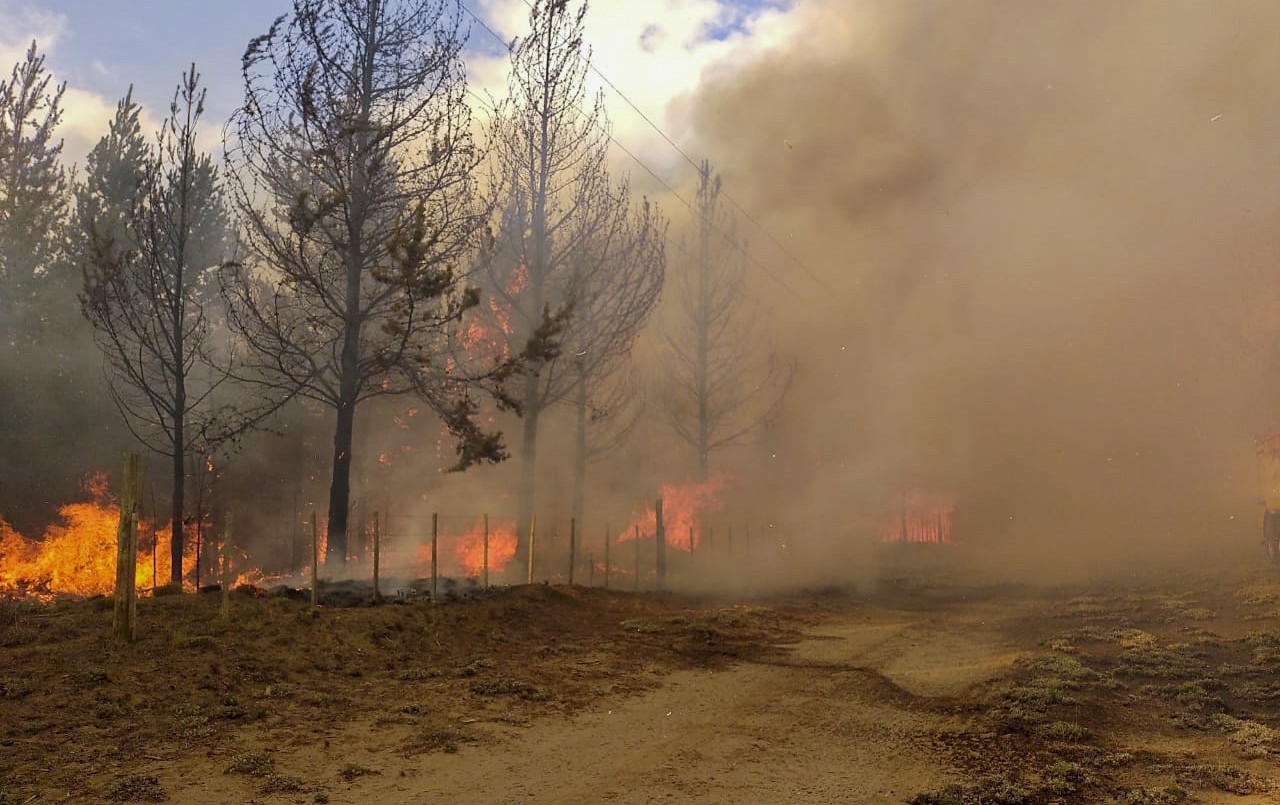 Incendio en El Bolsón: allanan la vivienda de sospechoso de iniciar el fuego | Actualidad