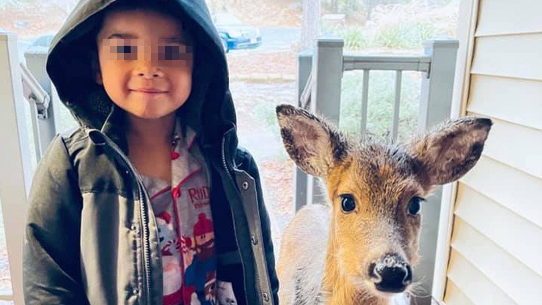 Su hijo de 4 años salió a jugar y volvió con una nueva mascota | Curiosidades