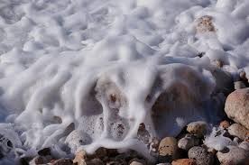 Espuma marina en Punta Mogotes: ¿Por qué se genera este fenómeno? | Vacaciones | Verano 2021