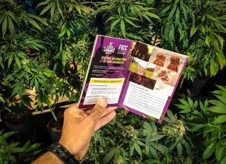 Llega por primera vez a Buenos Aires el Festival Internacional CineCannábico | Actualidad