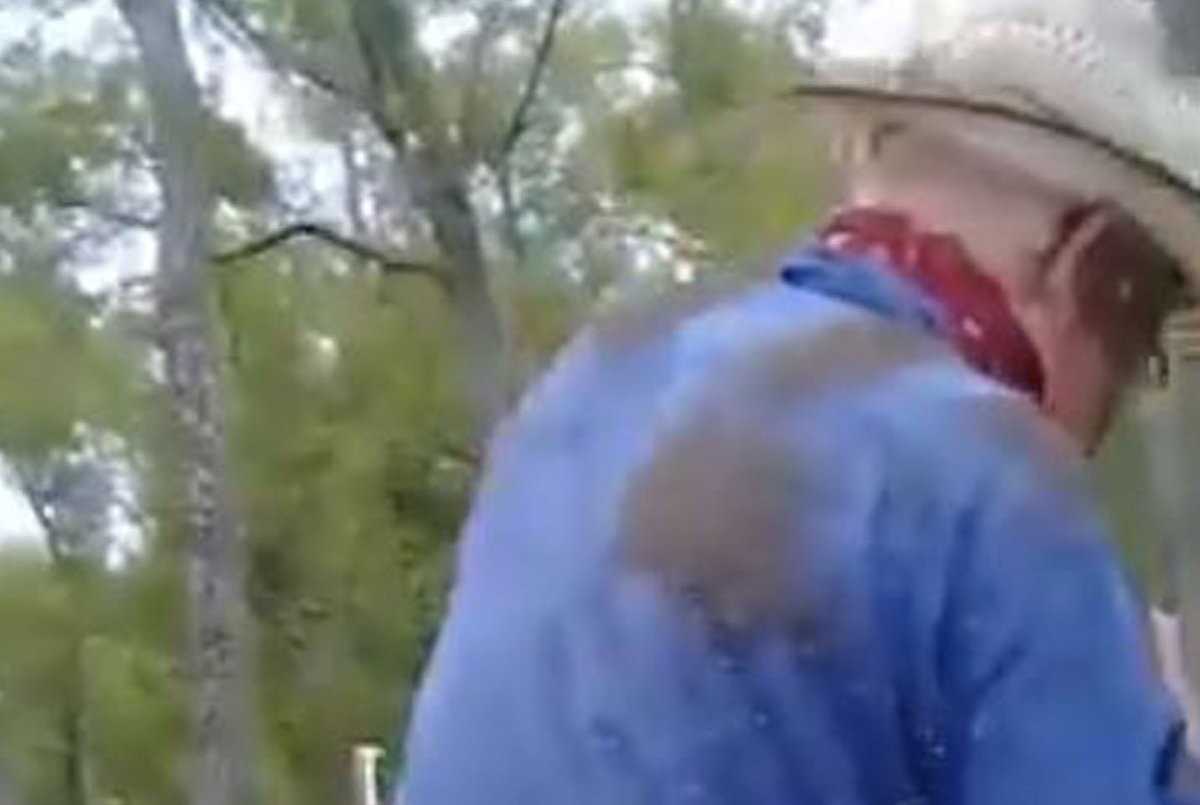 Video: el brutal ataque de una plaga de mosquitos a un hombre en el campo | Actualidad